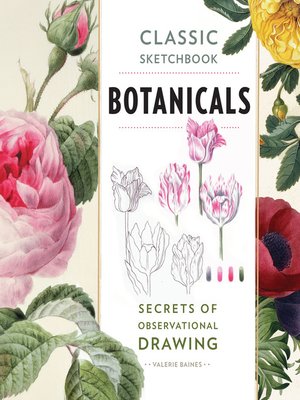 cover image of Classic Sketchbook